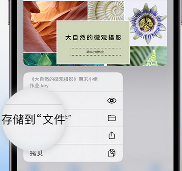 南山apple维修中心分享iPhone文件应用中存储和找到下载文件