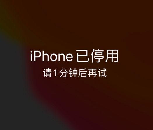 南山苹果手机维修分享:iPhone 显示“不可用”或“已停用”怎么办？还能保留数据吗？ 