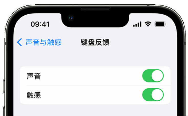 南山苹果手机维修分享iPhone 14触感键盘使用方法 