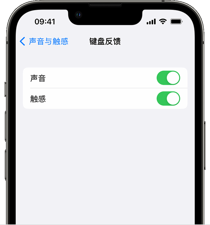 南山苹果14维修店分享如何在 iPhone 14 机型中使用触感键盘 