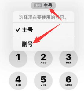 南山苹果14维修店分享iPhone 14 Pro Max使用副卡打电话的方法 