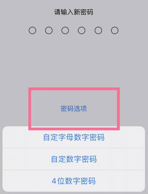 南山苹果14维修分享iPhone 14plus设置密码的方法 