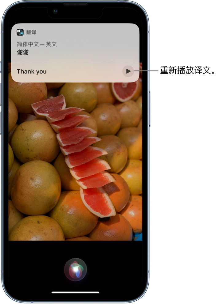 南山苹果14维修分享 iPhone 14 机型中使用 Siri：了解 Siri 能帮你做什么 