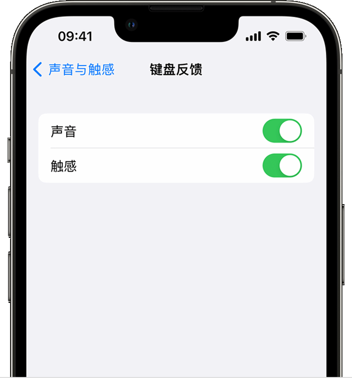 南山苹果14维修分享iPhone 14 系列机型如何开启键盘声音或触感反馈 