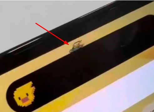 南山苹果14维修分享iPhone 14 Pro Max灵动岛怎么养宠物 