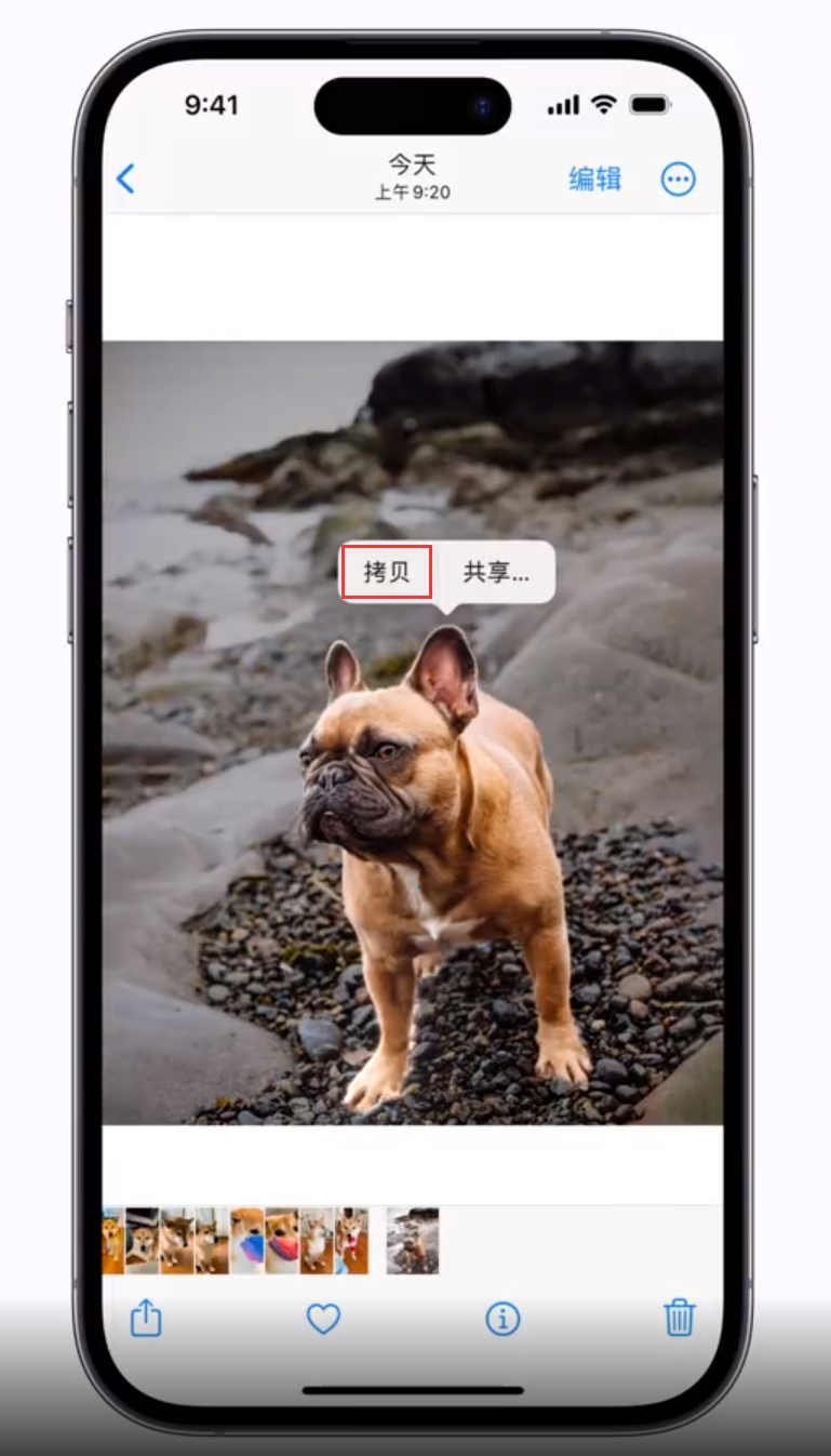 南山苹果手机维修分享 iOS 16 自带一键抠图功能 