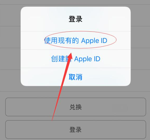 南山苹果手机维修分享两台iPhone设备可以同时登录一个Apple ID吗 