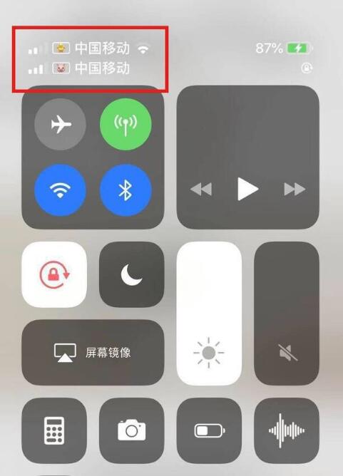 南山苹果手机维修分享为 iPhone 12 双卡设置标签 