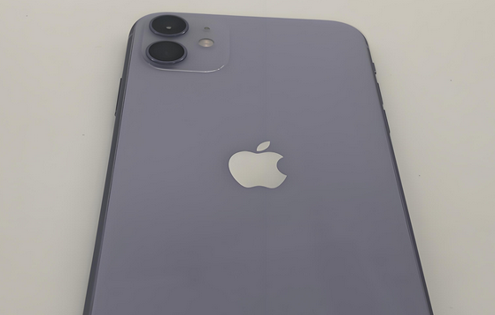 南山苹果11系统维修分享iPhone11手机系统崩溃无法开机如何解决
